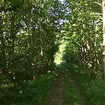 Lindegaardapartment - Woods And Sea *