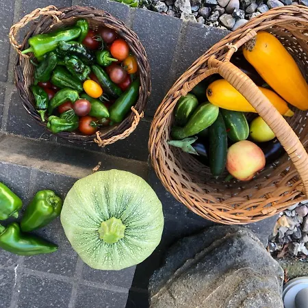Lindegaardapartment - Woods And Sea