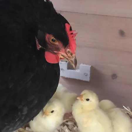 Апартаменты Lindegaardapartment - Woods And Sea *