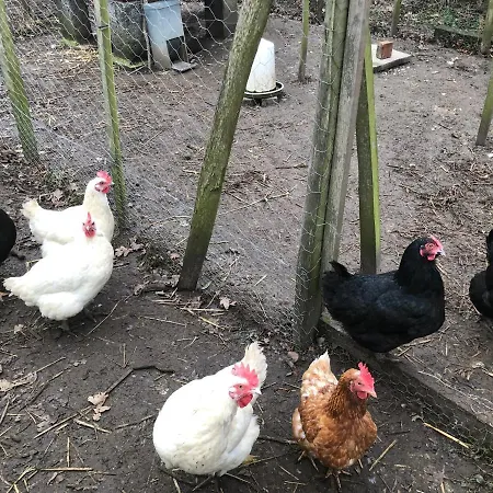 Lägenhet Lindegaardapartment - Woods And Sea *