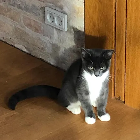 Lindegaardapartment - Woods And Sea * Hejls