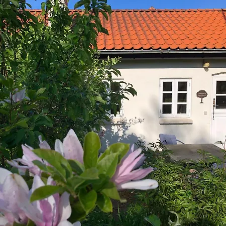 Lindegaardapartment - Woods And Sea Hejls