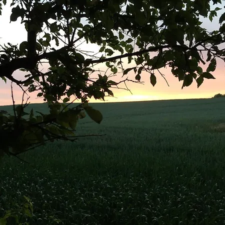 Lindegaardapartment - Woods And Sea דירה