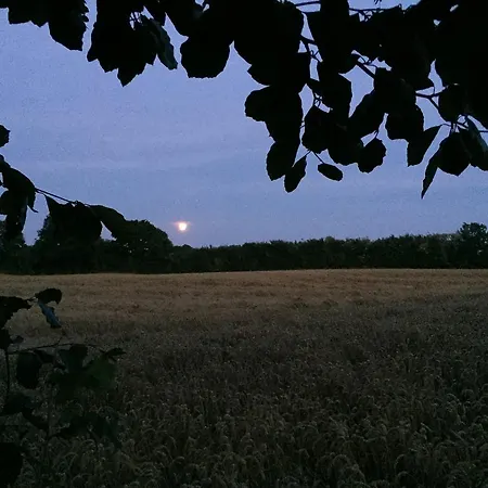 Lindegaardapartment - Woods And Sea Hejls