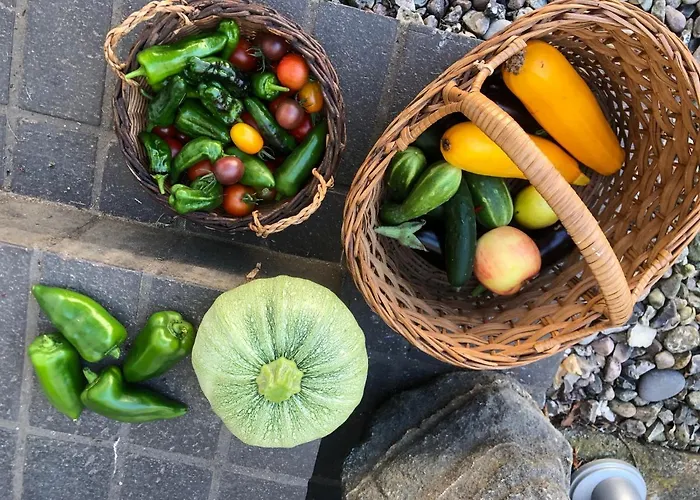 Lindegaardapartment - Woods And Sea