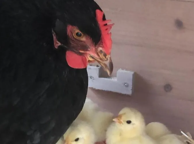 Lägenhet Lindegaardapartment - Woods And Sea *