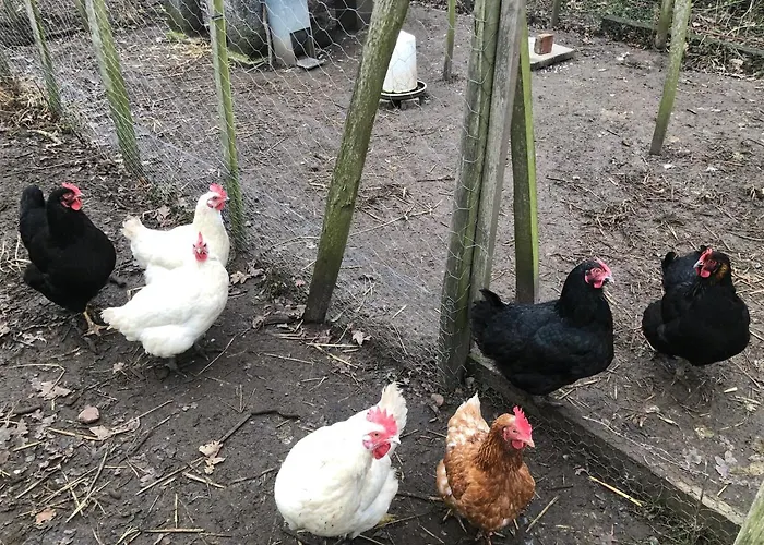 Lägenhet Lindegaardapartment - Woods And Sea *