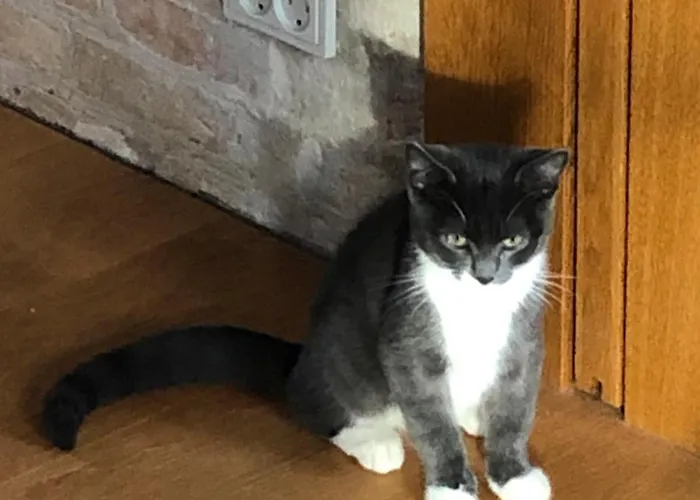 Lindegaardapartment - Woods And Sea * Hejls