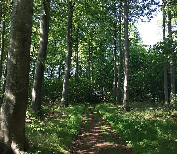 Lindegaardapartment - Woods And Sea * Hejls