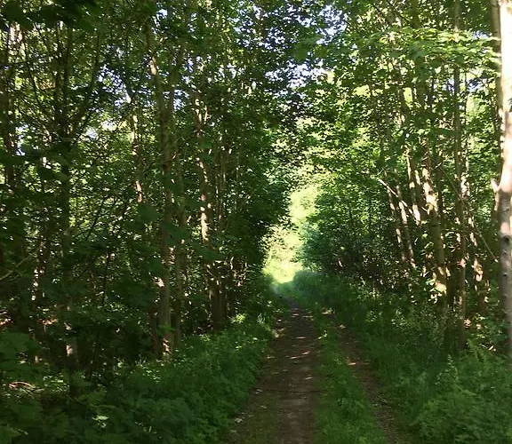 Lindegaardapartment - Woods And Sea *