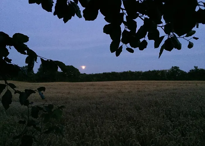 Lindegaardapartment - Woods And Sea Hejls